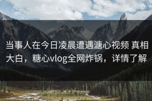 当事人在今日凌晨遭遇溏心视频 真相大白，糖心vlog全网炸锅，详情了解