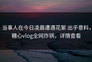 当事人在今日凌晨遭遇花絮 出乎意料，糖心vlog全网炸锅，详情查看