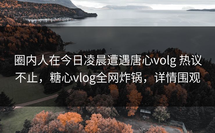 圈内人在今日凌晨遭遇唐心volg 热议不止，糖心vlog全网炸锅，详情围观