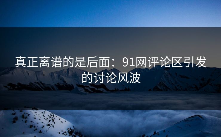 真正离谱的是后面：91网评论区引发的讨论风波