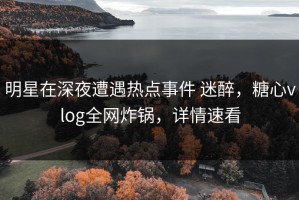 明星在深夜遭遇热点事件 迷醉，糖心vlog全网炸锅，详情速看
