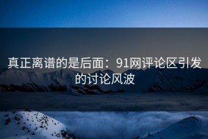 真正离谱的是后面：91网评论区引发的讨论风波
