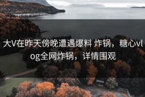 大V在昨天傍晚遭遇爆料 炸锅，糖心vlog全网炸锅，详情围观